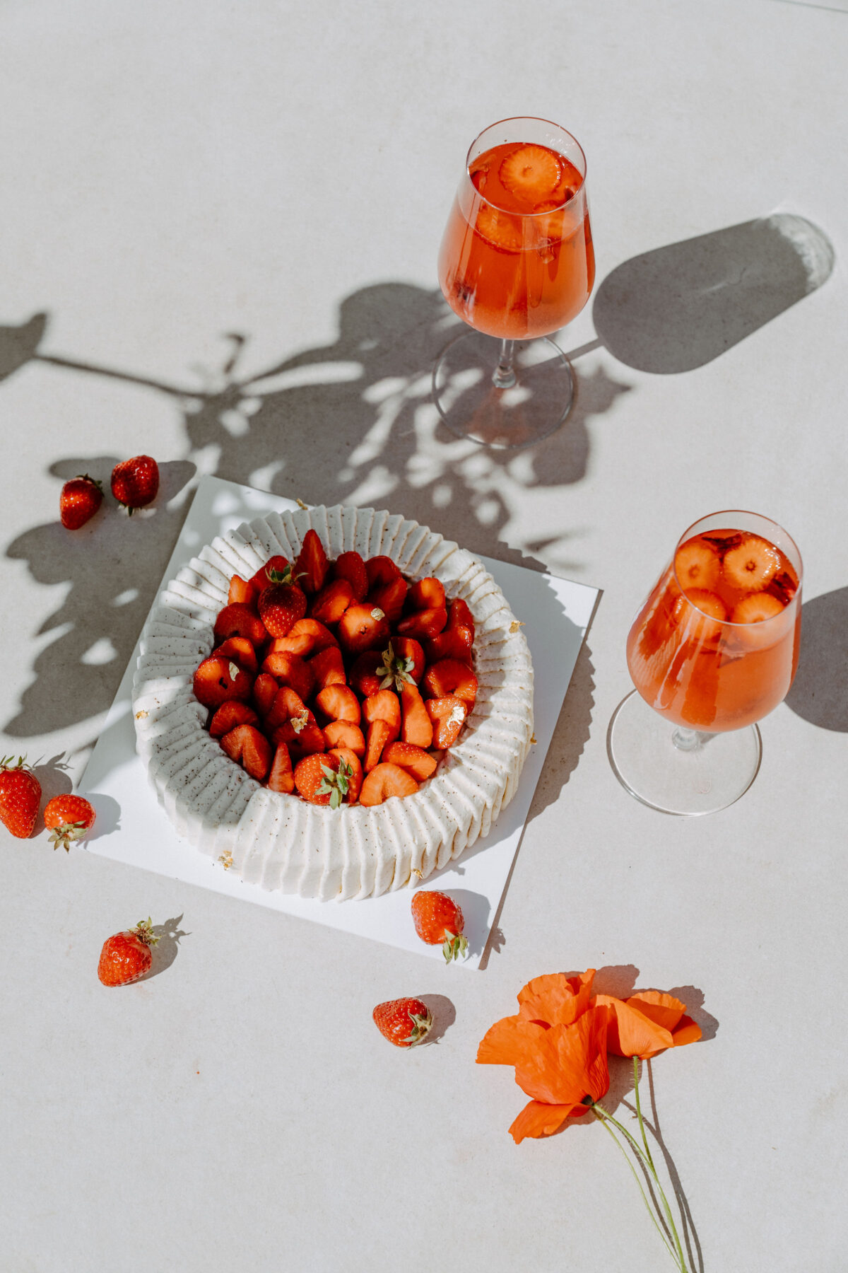 FRAISIER 8 parts (édition limitée)